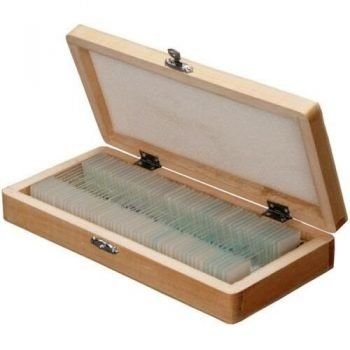 Microscope Glass Slide 72 pcs (gmbH)